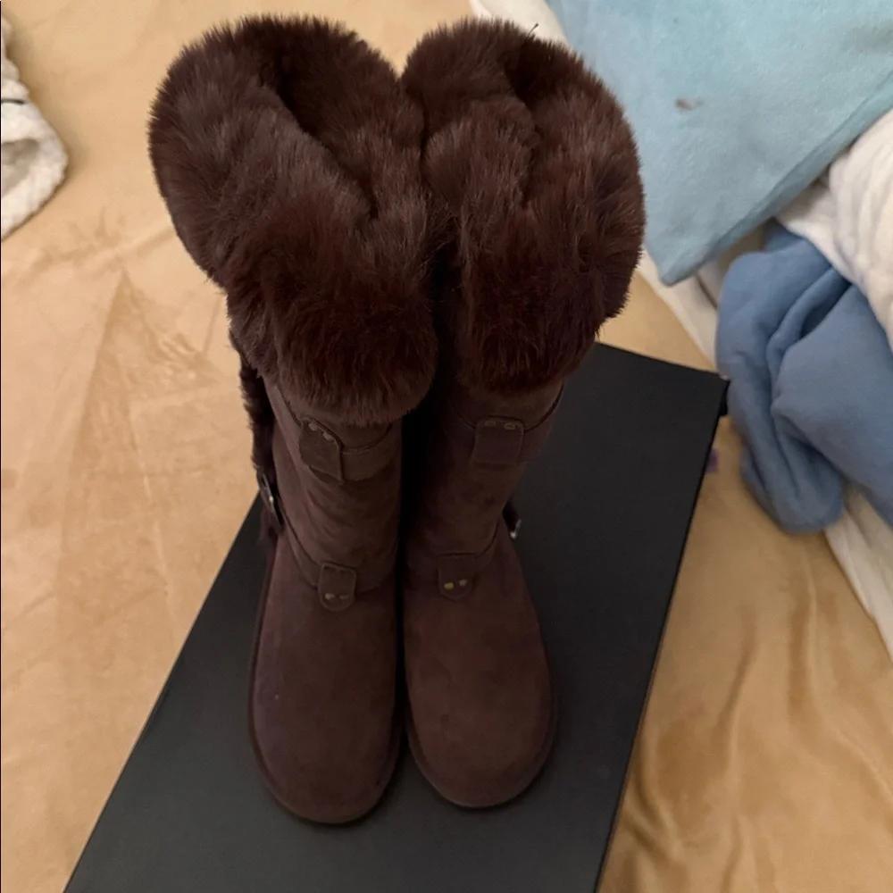 Australia Luxe Collective Tsar Tall Boots in Beva - Picture 6 of 8